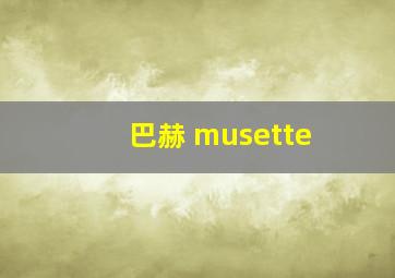 巴赫 musette